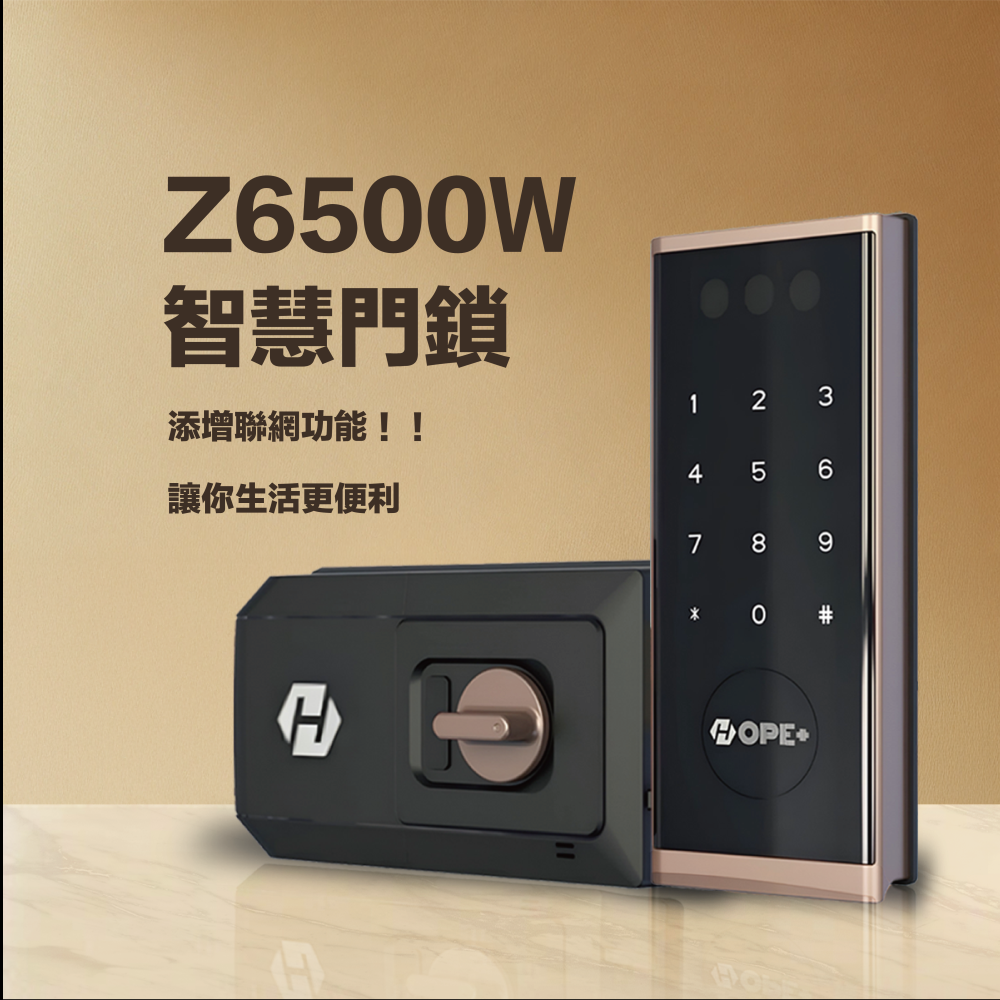 3D智慧門鎖 Z6500W 